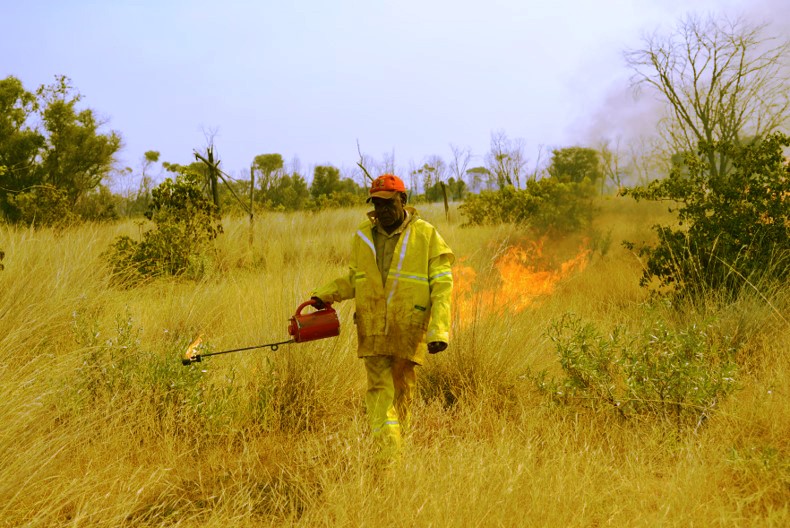 indigenousrangers